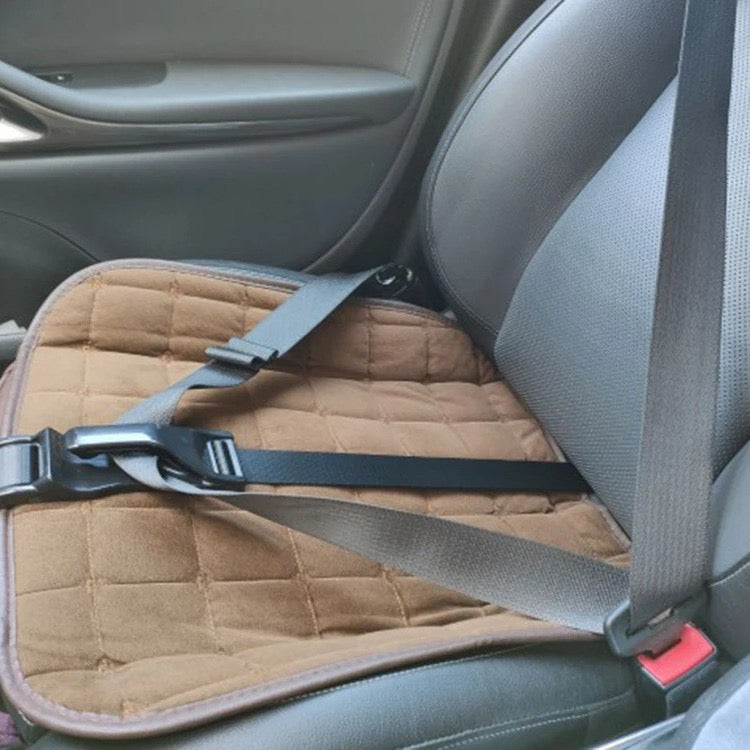 Pregnancy Safety Belt